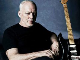 David Gilmour (Pink Floyd)